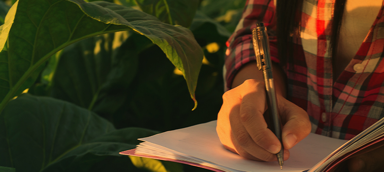 Leave the stress of traditional accounting and compliance behind. We handle everything from tax returns to bookkeeping, keeping your financial details in safe hands.